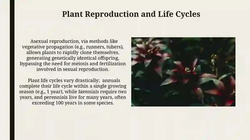 The Wonders of Plant Life 4
