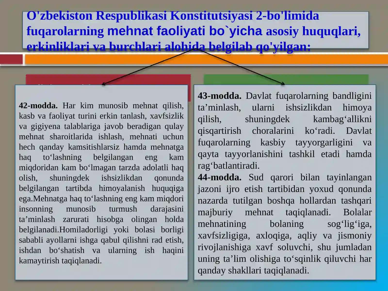 Hayot faoliyati xavfsizligi huquqiy asoslari 4