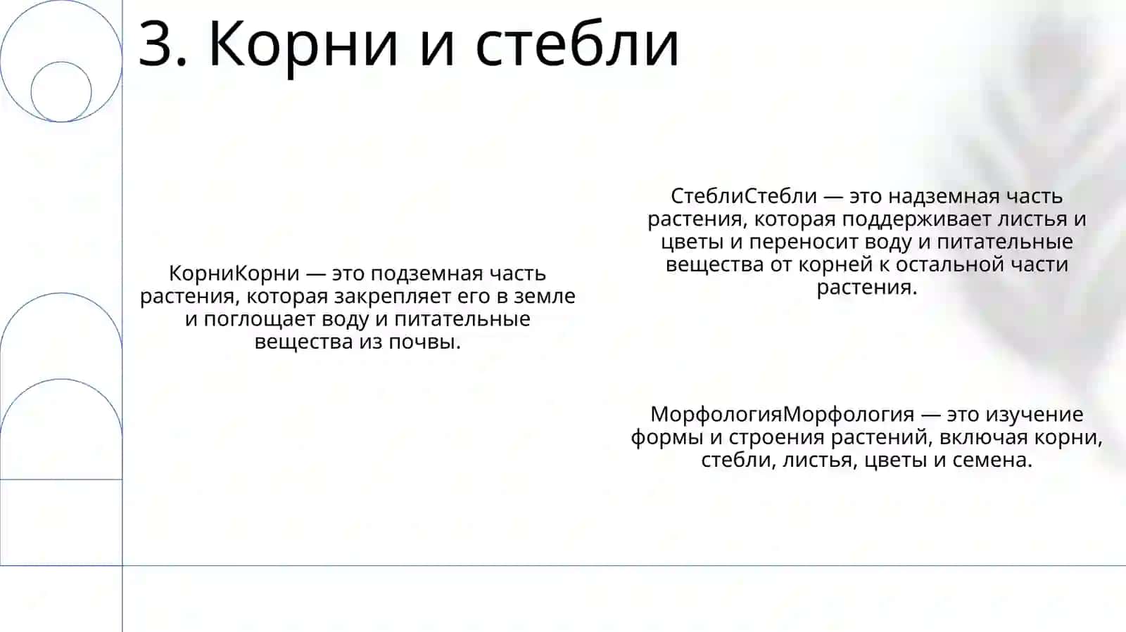 Морфология 4