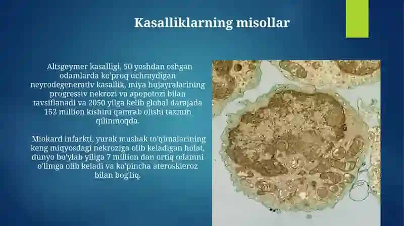 Hujayra patologiyasi va oʻlimi, nekroz va apoptoz 4