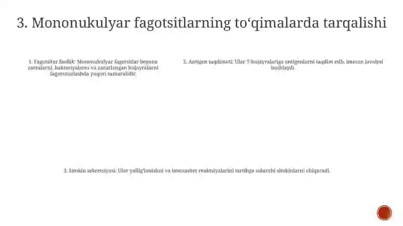 Mononuklear Fagotsitlar Tizimi Tarkibi Funksional Ahamiyati 4