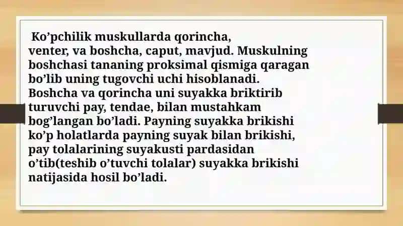 Muskullarni bajaradigan ishtiraklar va xilma xilligi 4