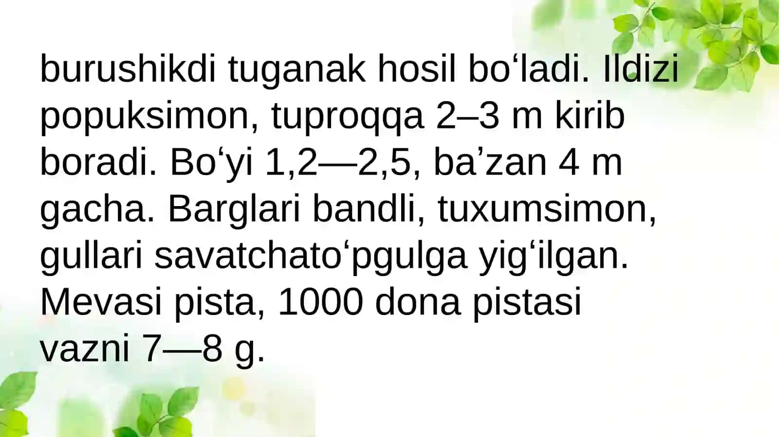 Topinamburo'simligining bioekologiyasi va dorivoro'lik xususiyatlari 4
