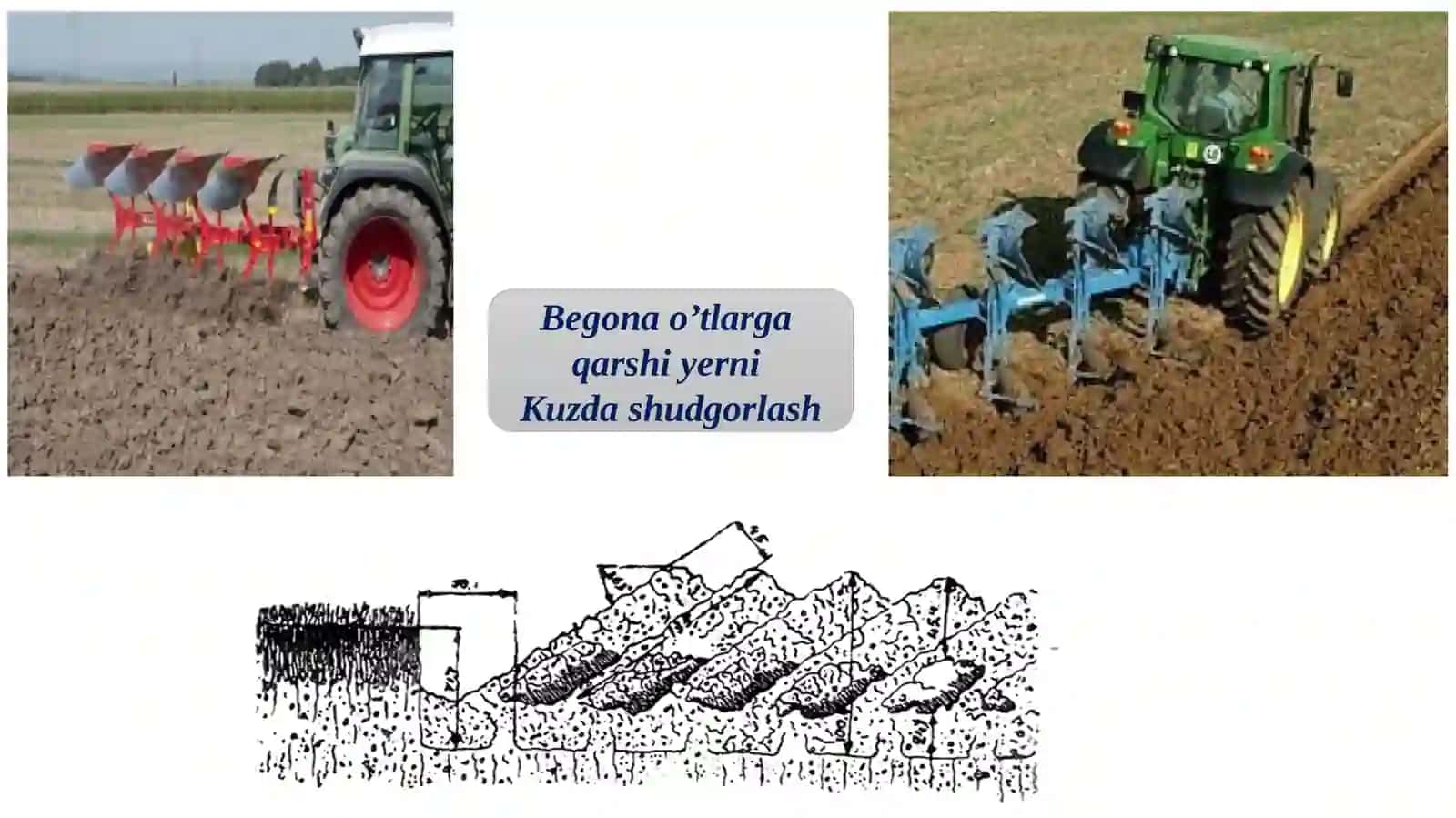 ОRGАNIK DЕHQОNCHILIKDA QISHLОQ ХO'JАLIGI EKINLАRINI ЕTISHTIRISHNING АGRОTЕХNIKАSI 4
