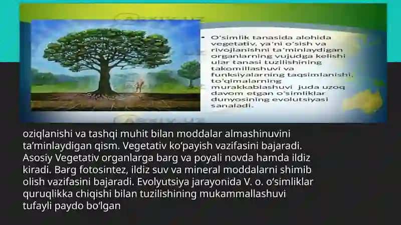 Qutblanish.Yuksak oʻsimliklarning vegetativ organlari: poya, kurtakning tuzilishi va oʻsish nuqtasi.Joylashishi boʻyicha kurtak turlari:uchki,yon, qoʻshimcha kurtaklar. Vegetativ va aralash kurtaklar. Gʻuncha. 4