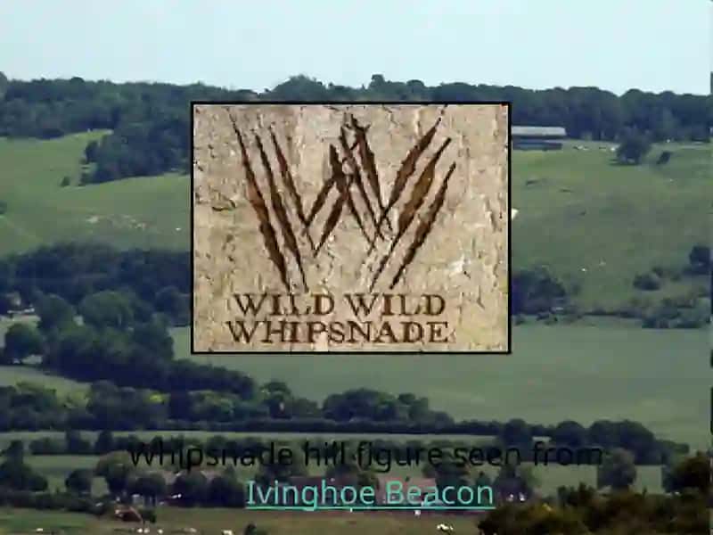 Whipsnade Wild Animal Park 4