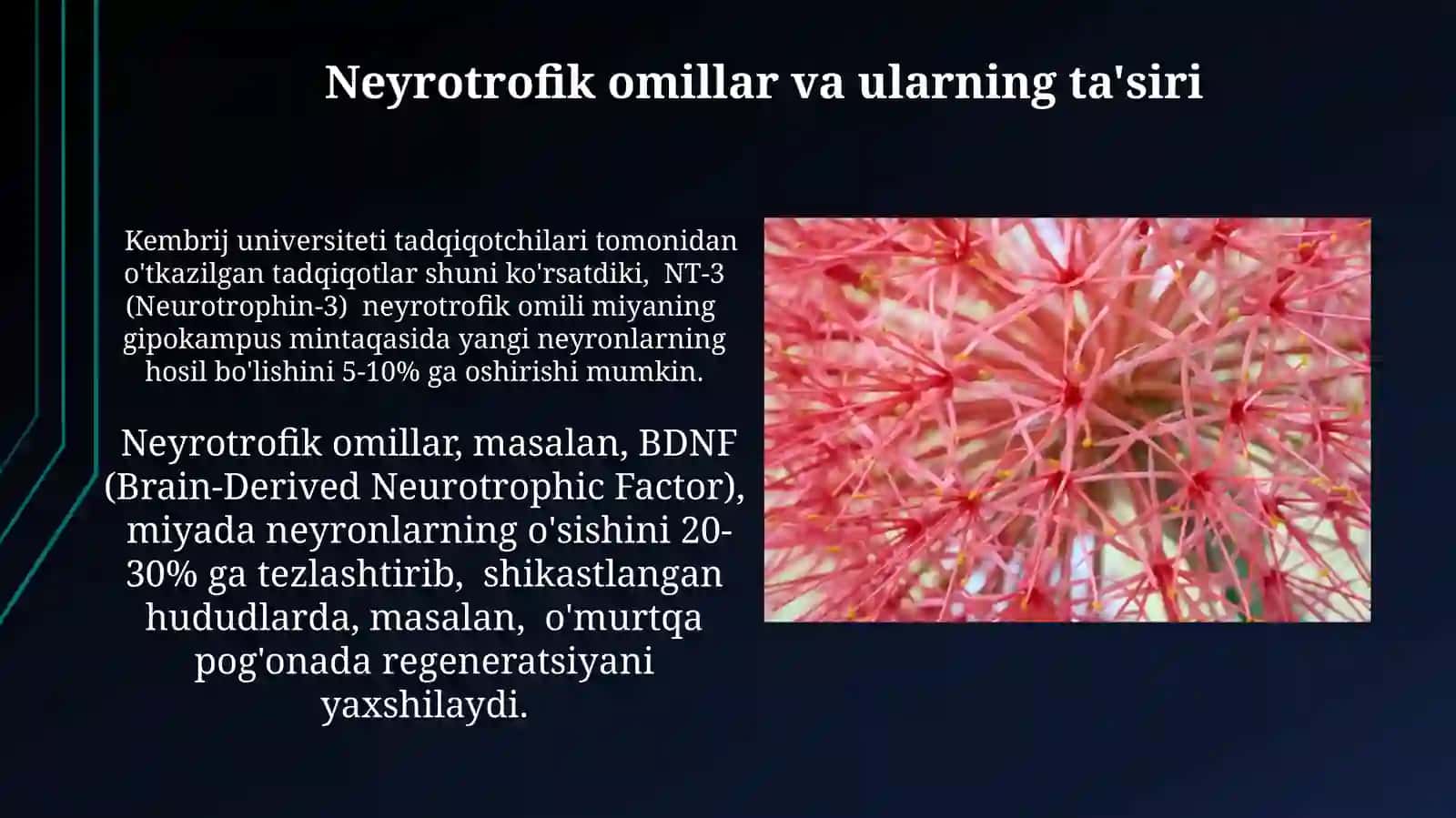 Nerv tòqimasining degeneratsiyasi varegeneratsiyasimexanizmlari 4