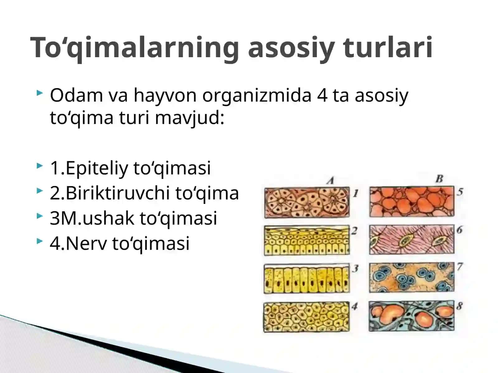 Ko’p tarmoqli tibbiyot texnikumi 4