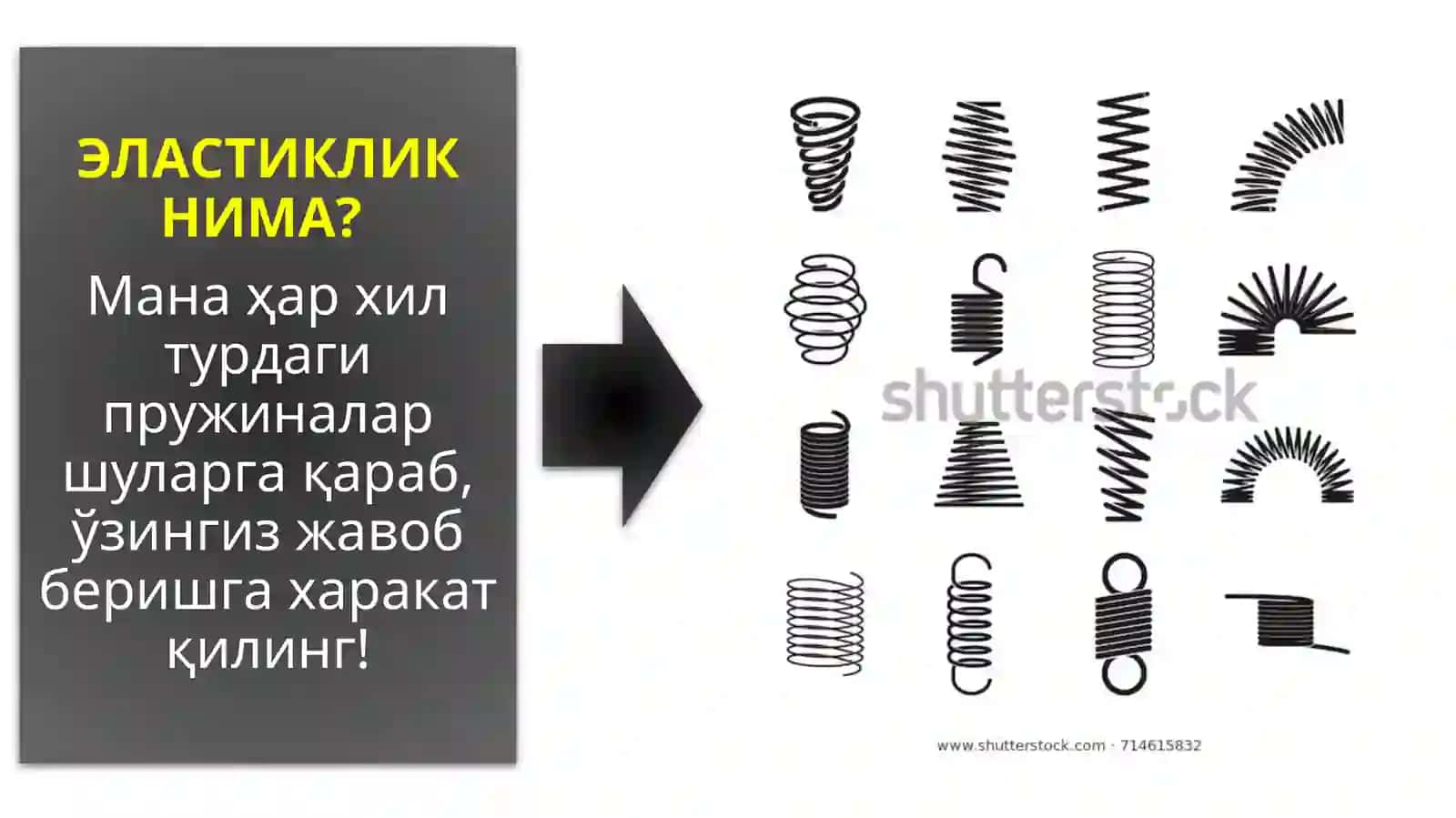 ТАЛАБ ВА ТАКЛИФ ЭЛАСТИКЛИГИ /МИКРОИҚТИСОДИЁТ 4
