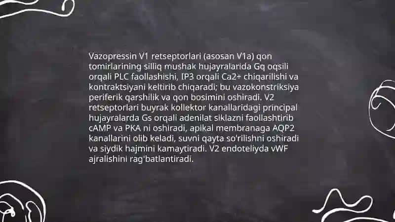 Vazopressin gormonini inson organizmiga ta'siri 4