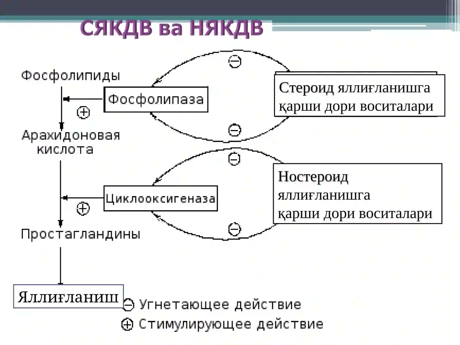 Стероид ва ностероид яллиғланишга қарши дори воситалари 4