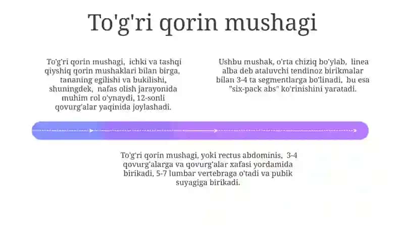 Qorinning yon devori muskullar va fassiyalari 4