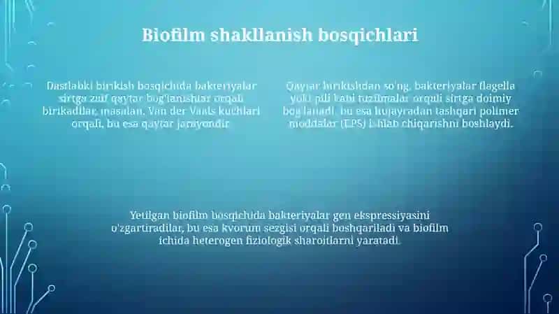 Bakteriyalarning bioplenkasi 4