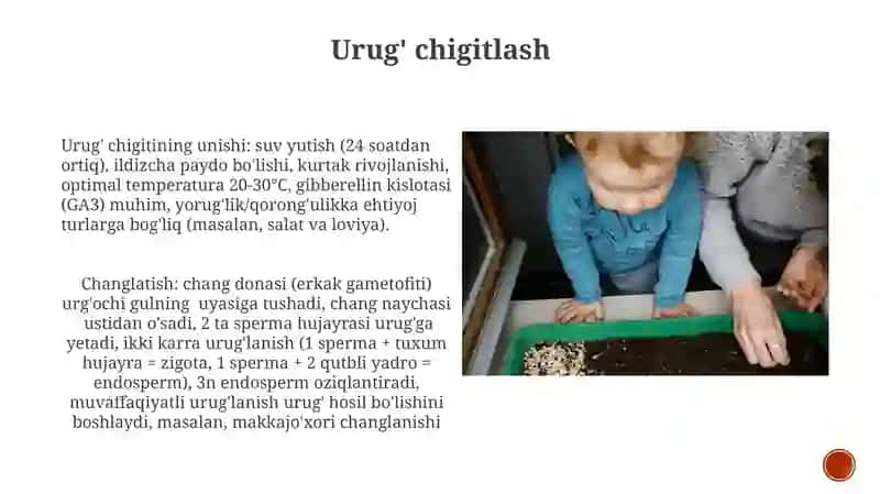 Urug'lanish 4