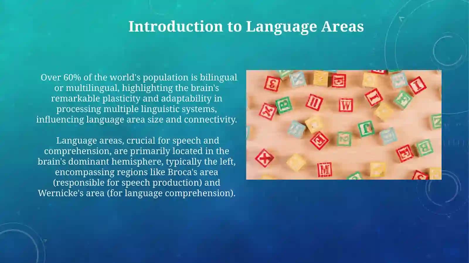 Areal classification of the language 4