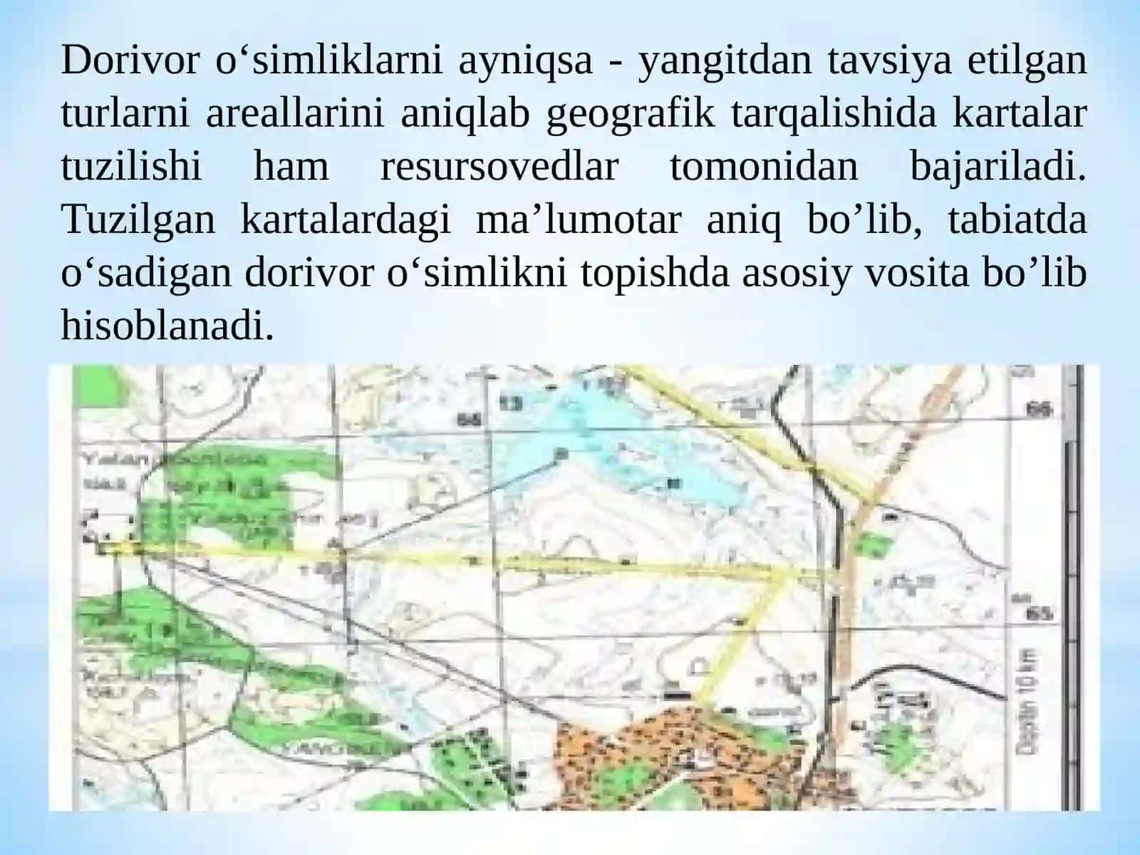 Dorivor o‘simliklarni zaxirasini izlab topish, xaritaga belgilash, xosildorligi va tiklash davrini aniqlash 4