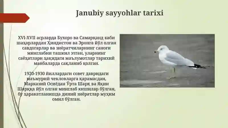 Janubiy sayyohlarning madaniy merosi 4