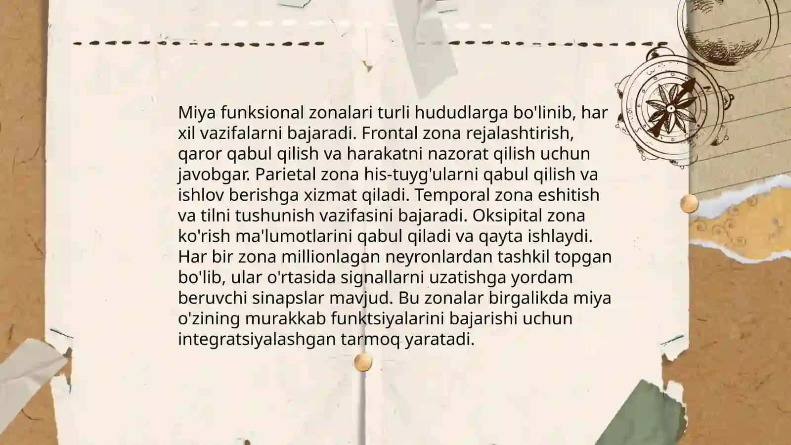 Psixik jarayonlar va miyaning o'zaro aloqadorligi 4