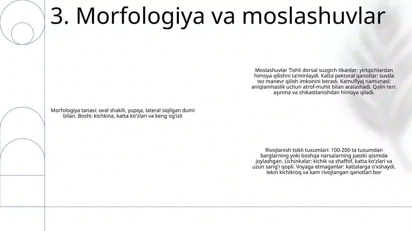 Suzuvchi Salviniyaning Taraqqiyot Sikli 4