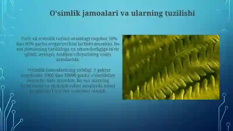 Ósimliklar ekologiyasi asoslari 4
