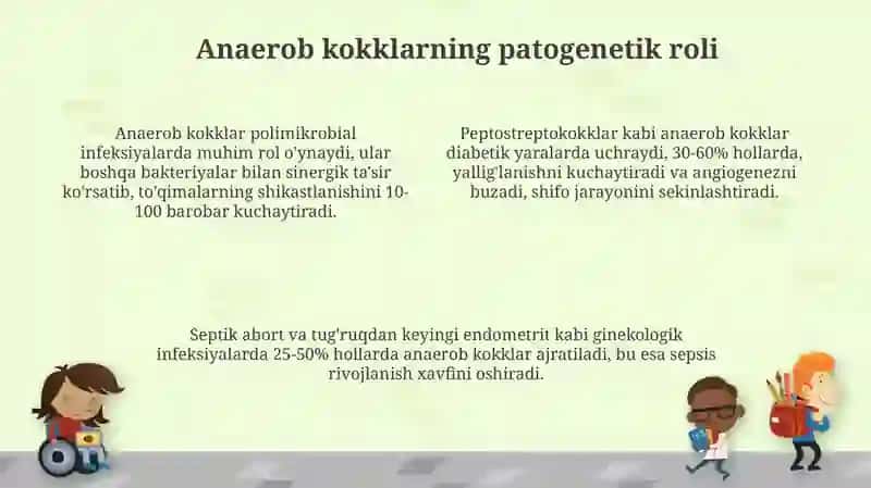 Anaerobkokklarningjarrohlik,ginekologiyavadiabetdagiahamiyatipatogenezilaboratortashxis 4