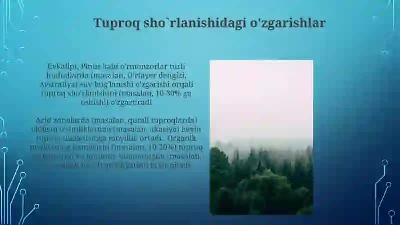 Tuproq kimyoviy oʻzgarishlariga ixota oʻrmonzorlari tasiri 4