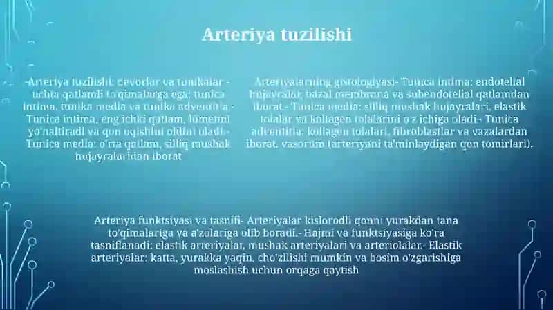 Yurak Va Qon Tomirlari Tuzilishi 4
