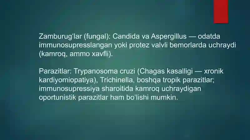 Yurak-qon sistemasiga ta'sir qiluvchi mikroorganizmlar, patogenezi, laboratoriya tashxisi 4