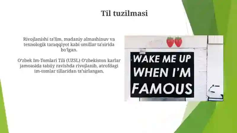 O'zbek Imo ishora tili taraqqiyoti 4