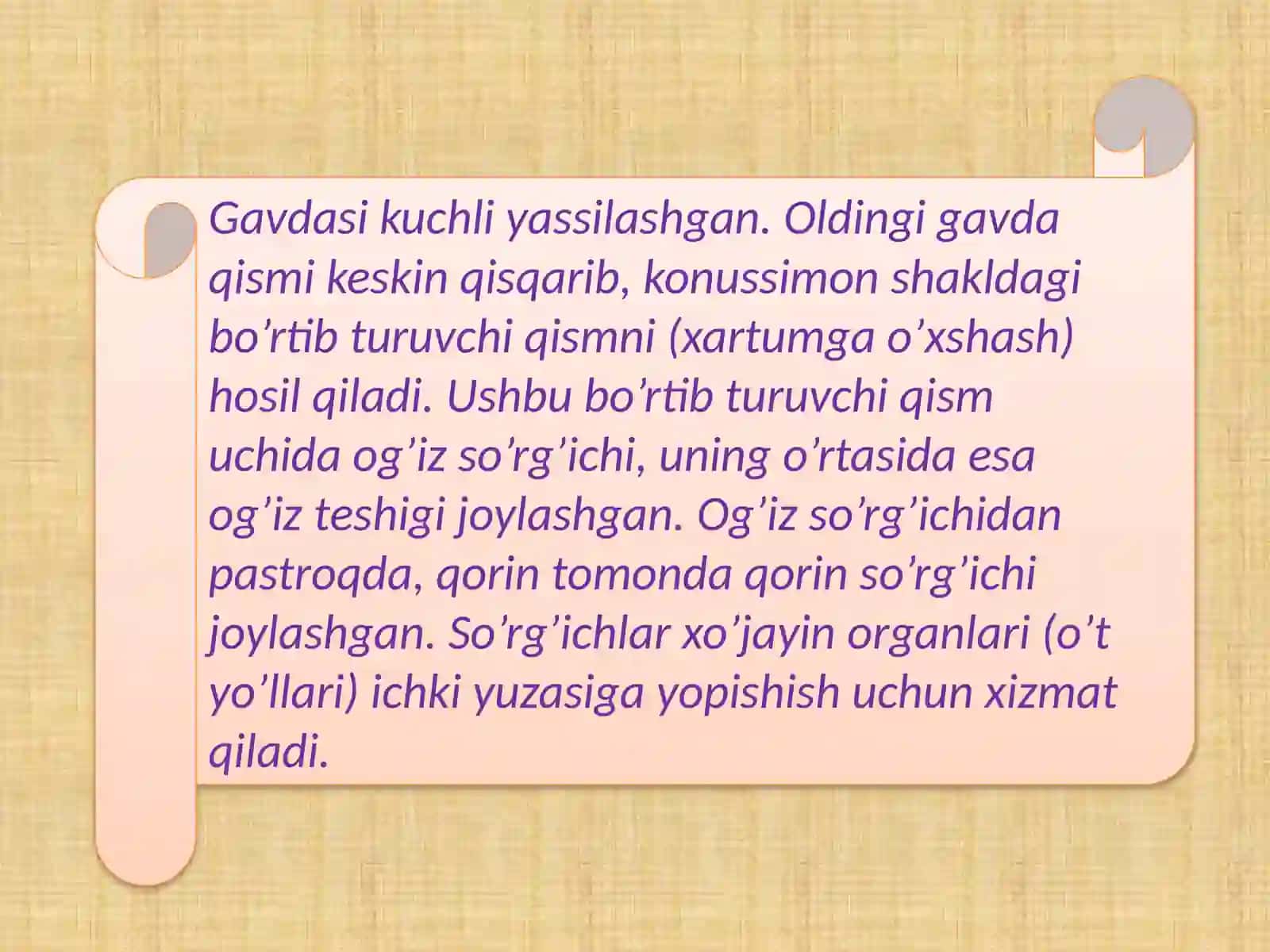 Jigar qurtining tashqi va ichki tuzilishi, rivojlanish bosqichlari 4