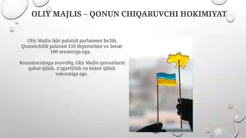 Oʻzbekiston Respublikasi Konstitutsiyasining asosiy prinsiplari 4