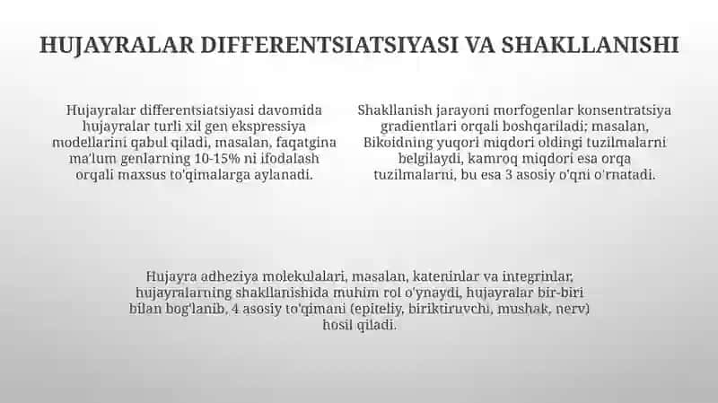 Embrional rivojlanish umumiy qonuniyatlari 4