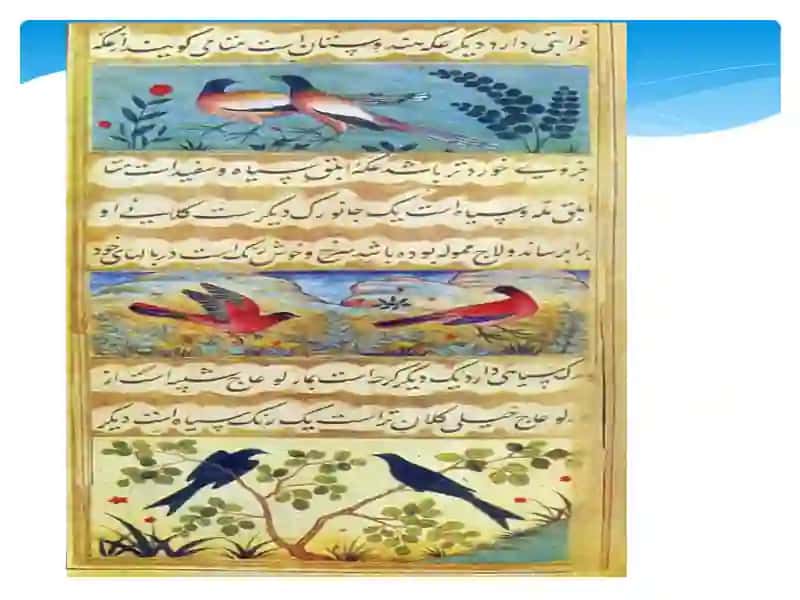 Tabiatdano‘simliklar, gullar, daraxtlar, tog‘, toshlar, suv, bulutlar tasvirini ishlash 4
