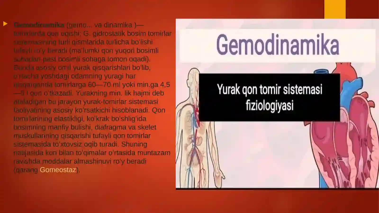 Yurak gemodinamikasi 4