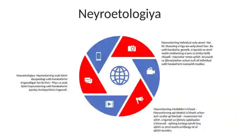 Hayvonlarning Individual Va Intelektual Hatti Harakat Shakllari 4