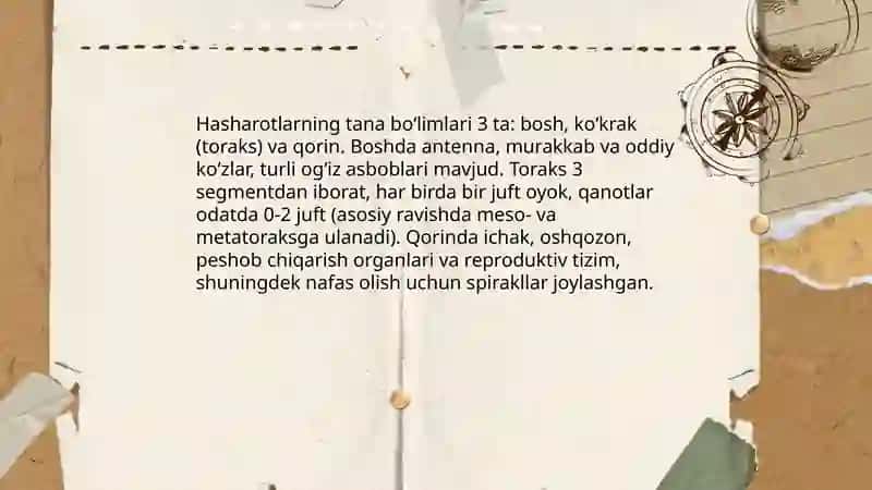 Hasharotlarni tashqi tuzilishi tana boʻlimlari va undagi organlari 4