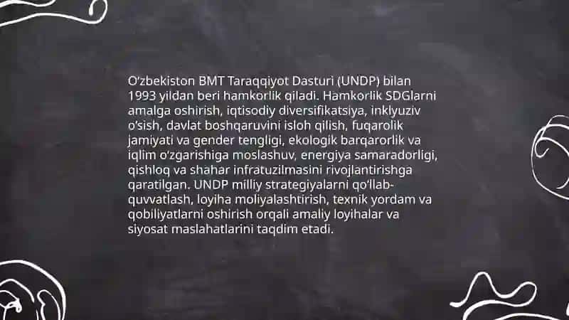 O‘zbekistonning Birlashgan Millatlar Tashkiloti (BMT) bilan hamkorlik aloqalari 4