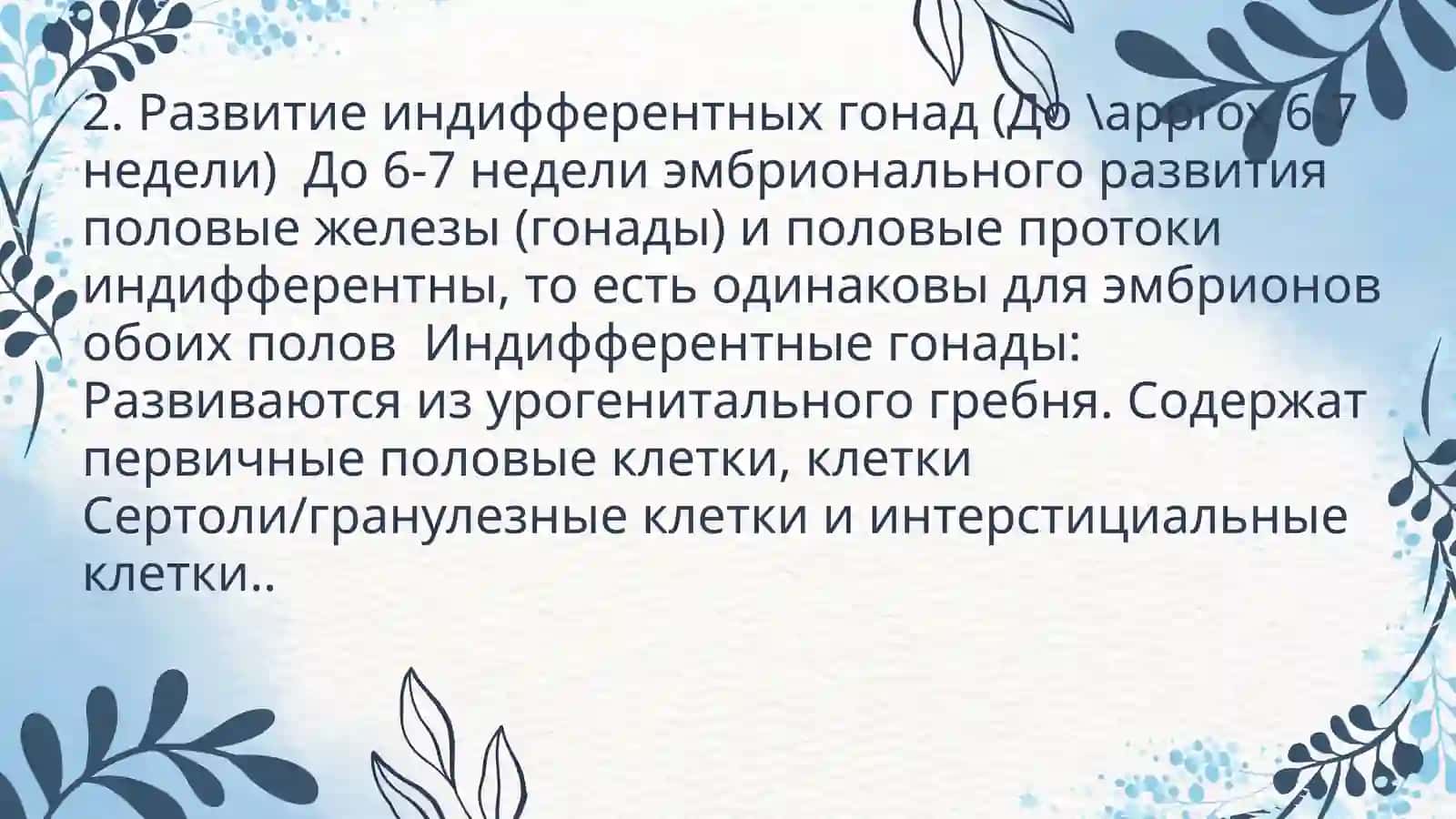Эмбриогенез половой системы и факторы, влияющие на него 4