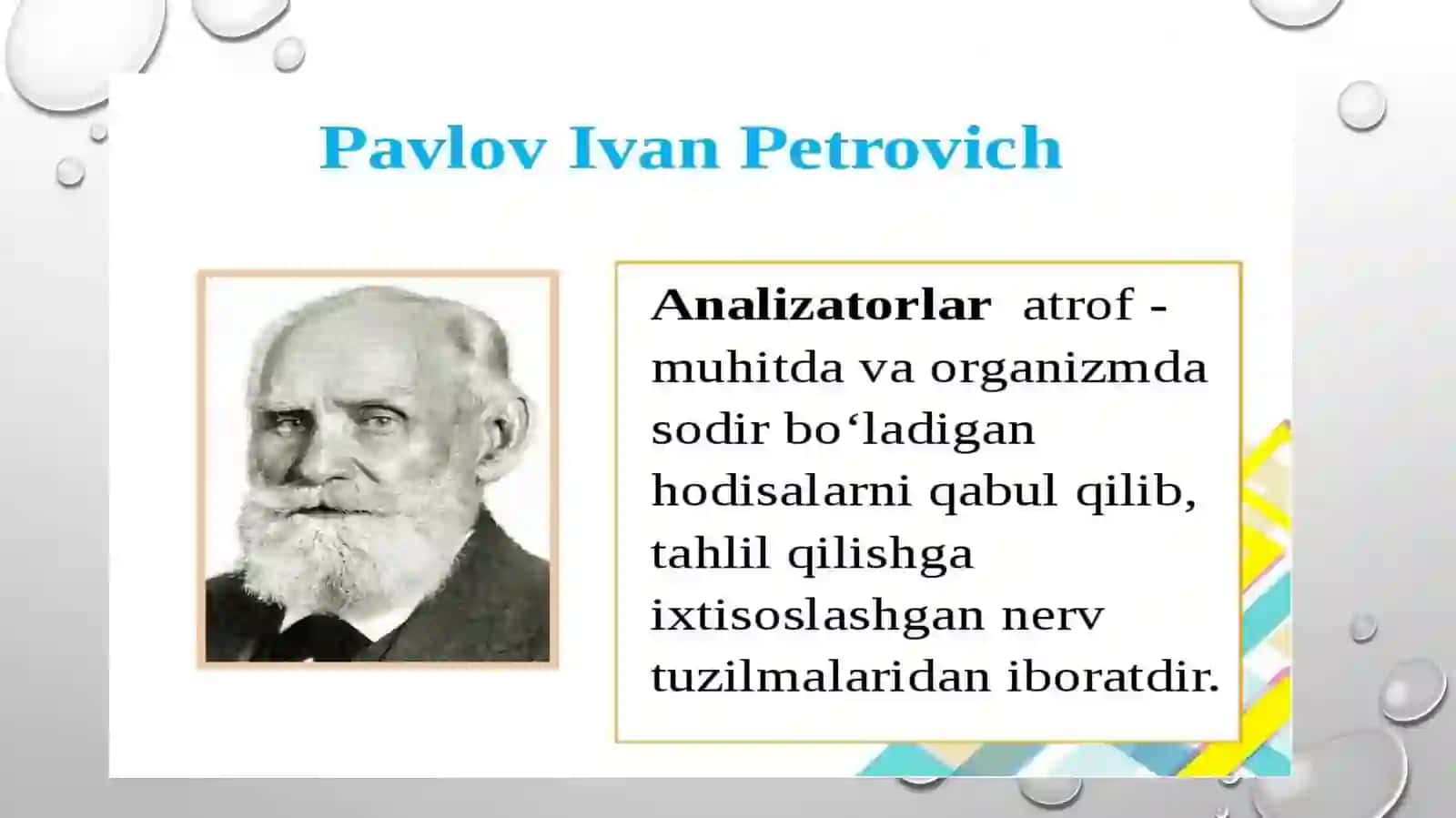 SEZGI 4