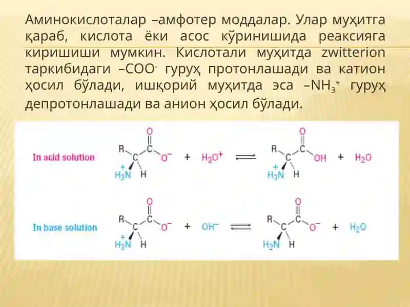 Аминокислоталар ва оқсиллар 4