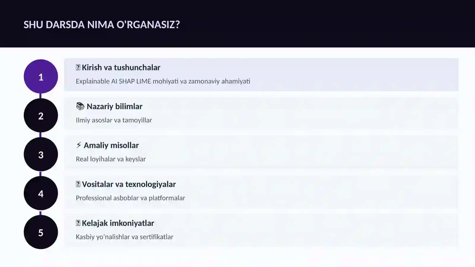 DATA SCIENCE VA TAHLIL Explainable AI SHAP LIME 4