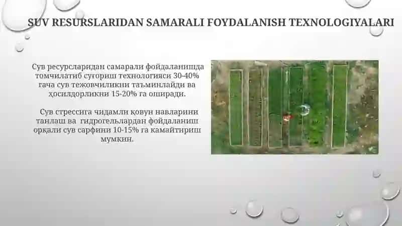 Lalmi yerlarda tarvuz yetishtirish boʻyicha texnologik xarita tuzish 4
