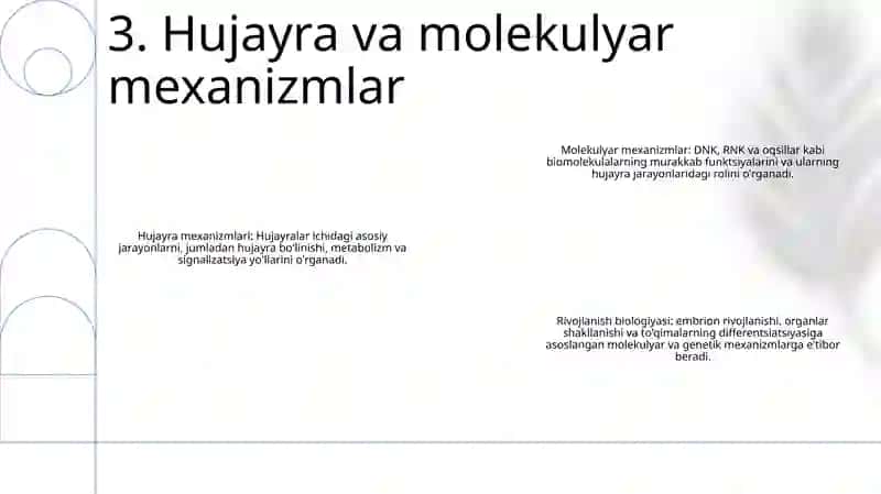 Rivojlanish Biologiyasi 4