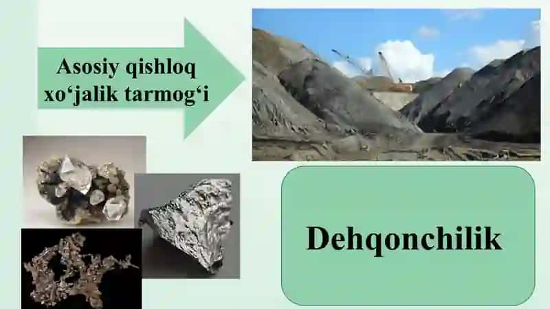 Markaziy Afrika davlatlari qishloq xoʻjaligi. Taqdimot. 4