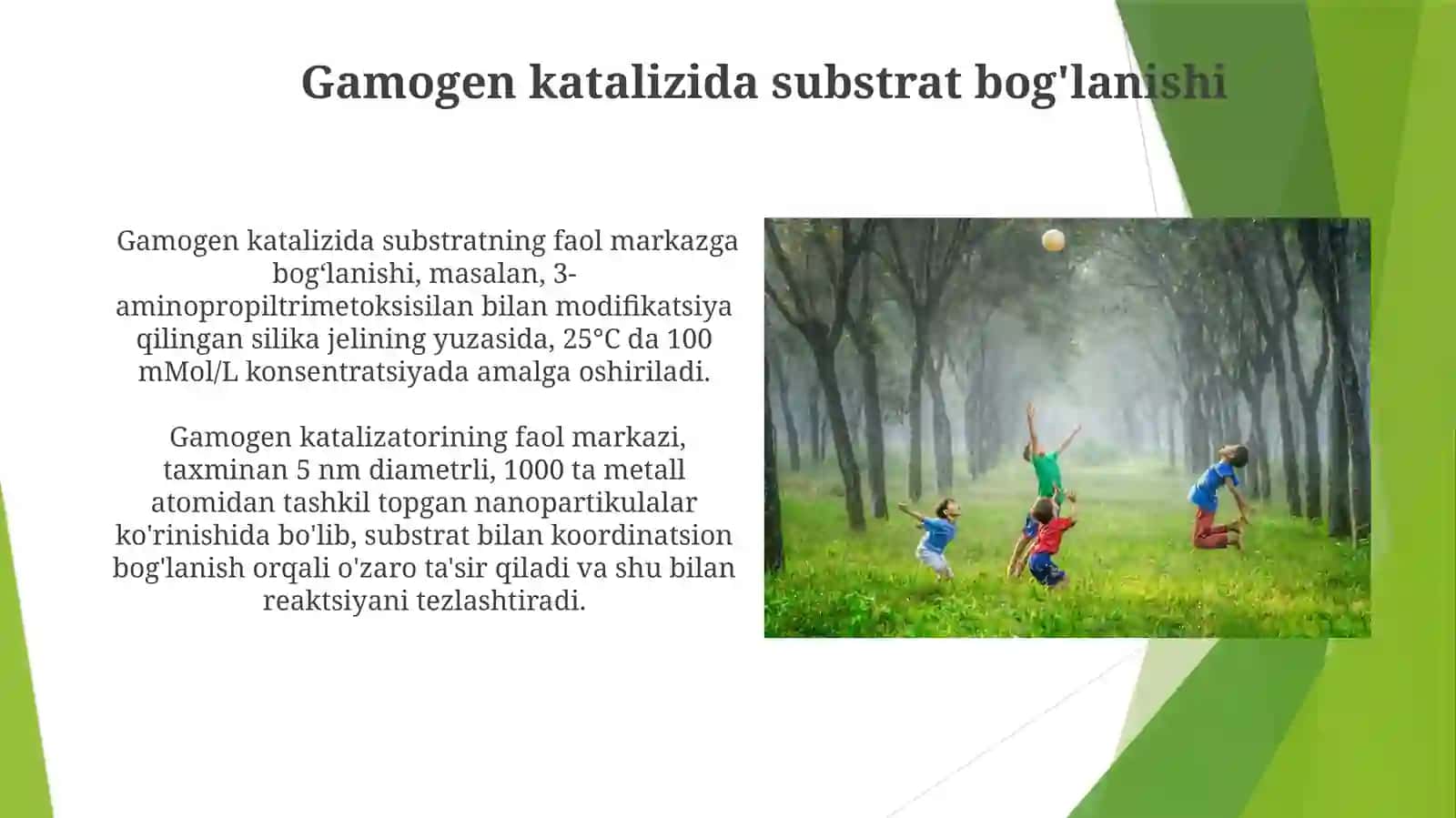 Gitrogen kataliz Gamogen katalizda faol markazlari 4