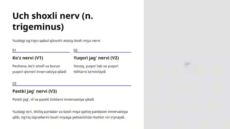 Og'riq Yo'llari Anatomiyasi 4