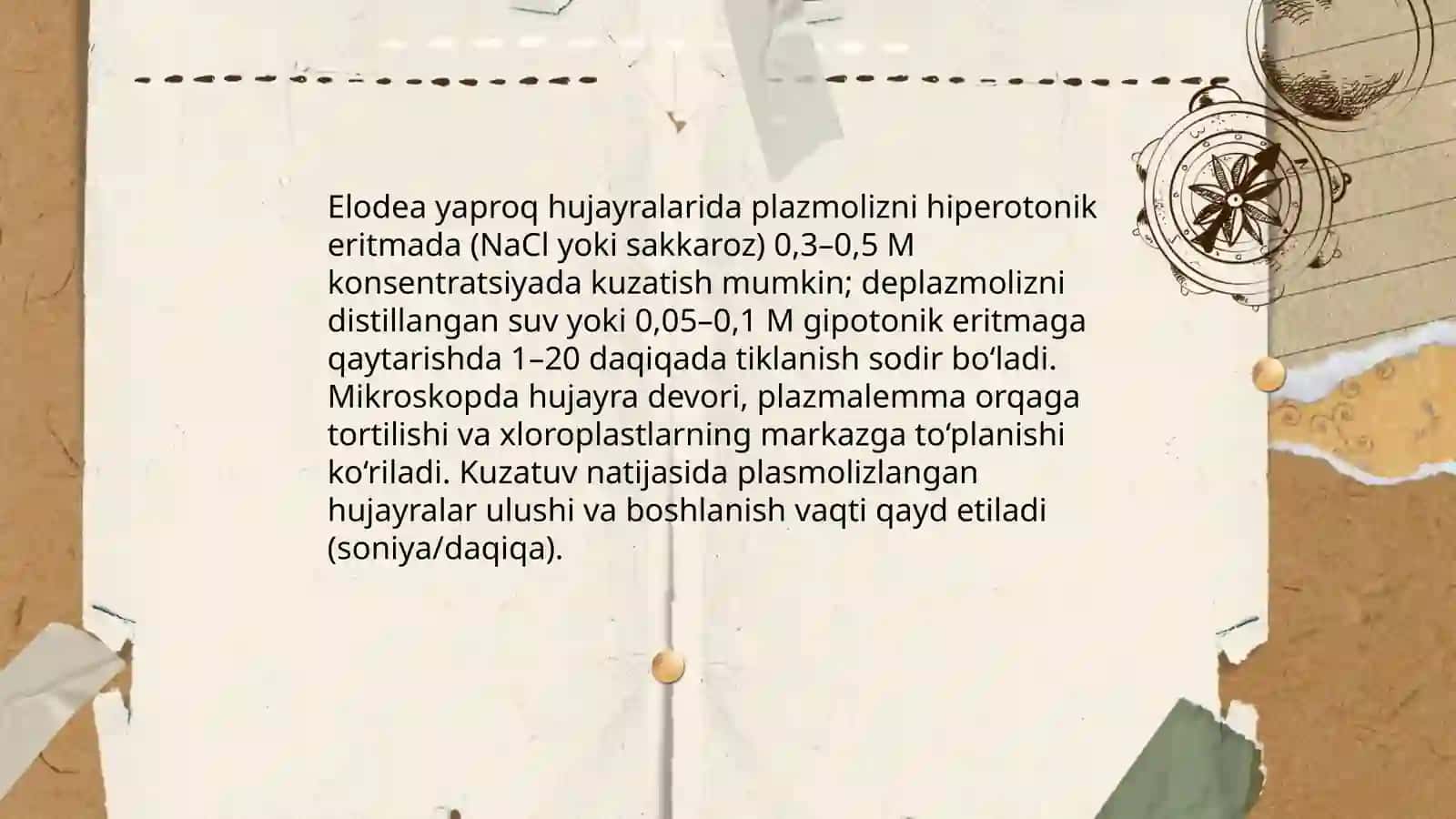 Plazmoliz va deplazmoliz hodisalarini turli o'simlik hujayralarida o'rganish 4