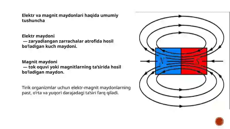 Elektr va magnit maydonlari va ularning tirik organizmlarga ta’siri. Elektrografiya usullarining fizik asoslari. (EKG, EEG, EMG) 4