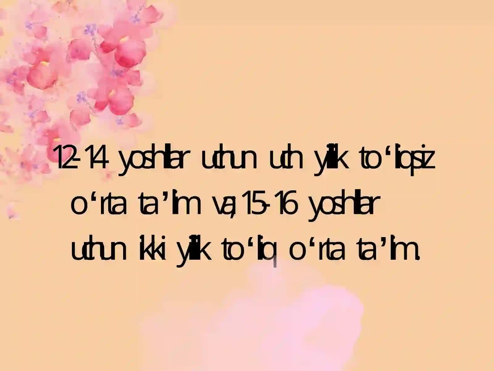 Malayziya davlatida ta’lim tizimi 4