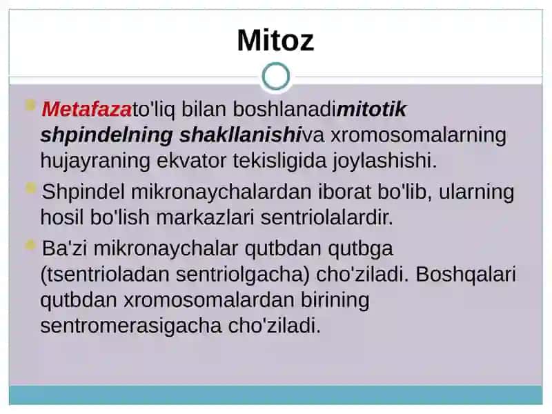 Hujayra bo'linishi 4
